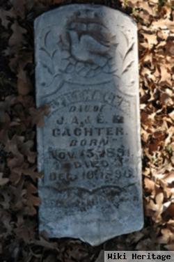 Bertha Lee Gachter