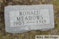 Ronald E. Meadows