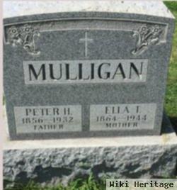 Peter H Mulligan