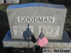 David W. Goodman