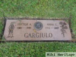 Hector A Gargiulo