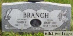 David N. Branch