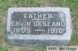 Ervin Gesland