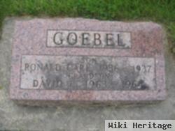 David L Goebel