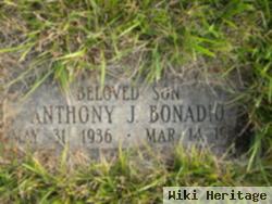 Anthony J Bonadio