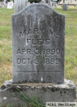 Mary M Fleig