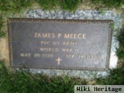 James P Meece