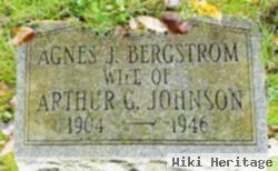 Agnes Bergstrom Johnson