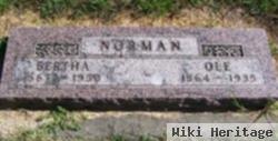 Ole N. Norman