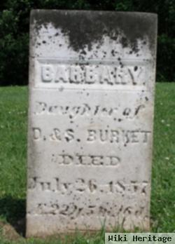 Barbary Burket