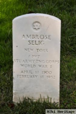 Ambrose Selig