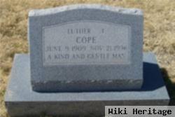 Luther Turney Cope