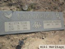 Agustin E. Guajardo