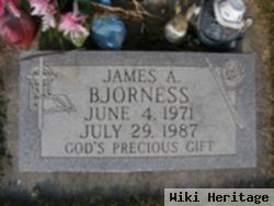 James A Bjorness