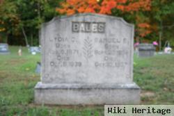 Samuel Bales