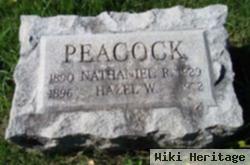 Nathaniel R Peacock