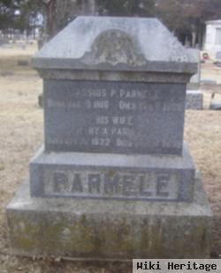 Mary Ann Green Parmele