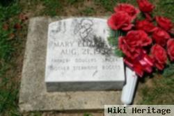 Mary Elizabeth Rogers Spicer