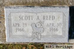 Scott A Reed