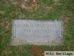 Joan Large Hill