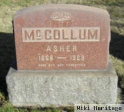 Asher Mccollum