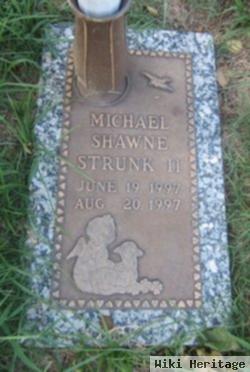 Michael Shawne Strunk, Ii