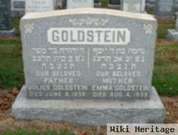 Julius Goldstein