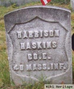 Harrison Haskins