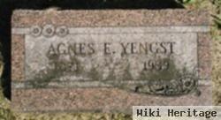 Agnes E "nancy" Ervin Yengst