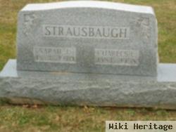 Sarah J Strausbaugh