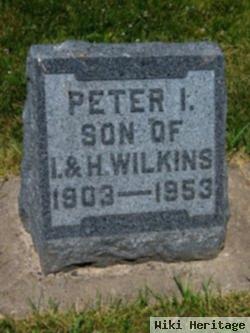 Peter I. Wilkins