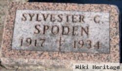 Sylvester Casper Spoden