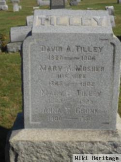 David A Tilley