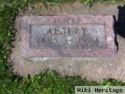 Albert J Holt