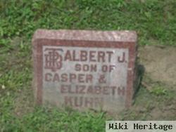 Albert J Kuhn