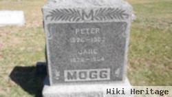 Peter Mogg