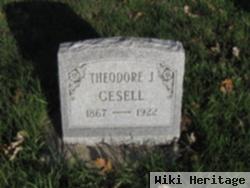 Theodore J Gesell