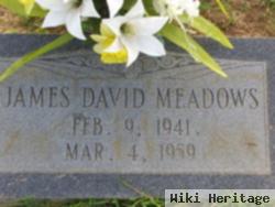 James David Meadows