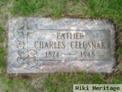 Charles Celusnak, Sr