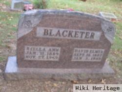 David Elmer Blacketer