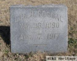 Lee H. Cogdal