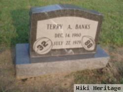 Terry A. Banks