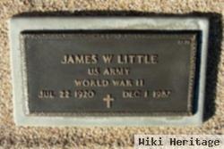 James W Little