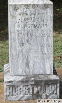 Albert H. H. Horstmann