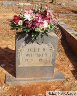 Ollie R Whitaker