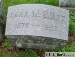 Anna M Beltz