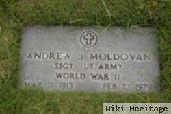 Andrew J Moldovan