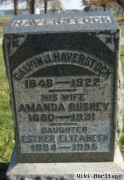 Amanda Bushey Haverstock