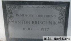 Anton Brischnik