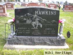 Barbara Ann Orman Hawkins